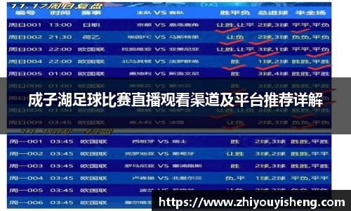 成子湖足球比赛直播观看渠道及平台推荐详解